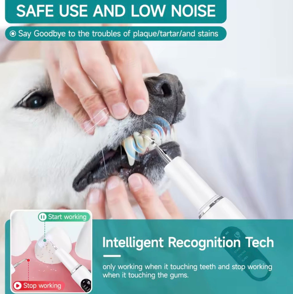 Pet Dental Plaque Remover