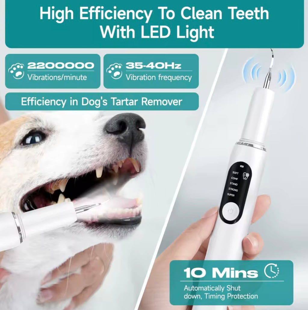 Pet Dental Plaque Remover