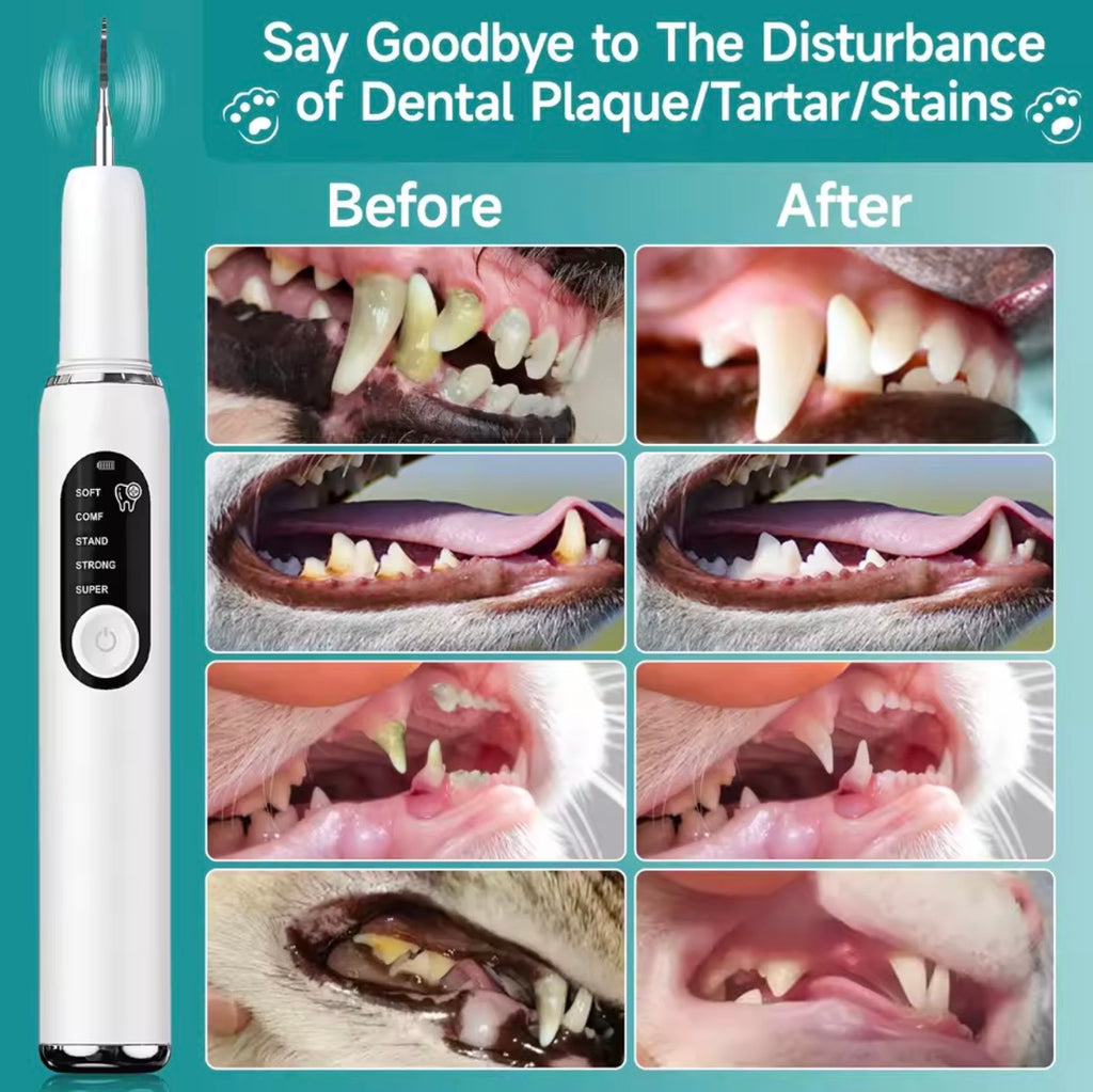 Pet Dental Plaque Remover