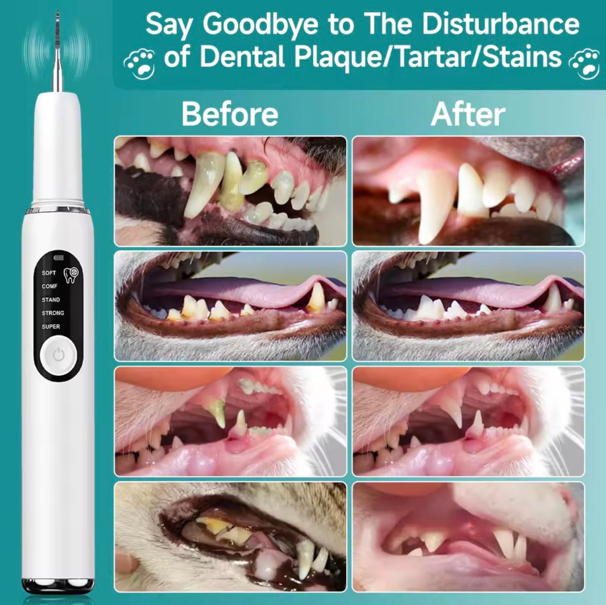 Pet Dental Plaque Remover